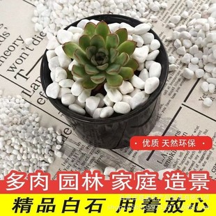 Stone Manufacturer Wholesale White Stones, Gravel, Pebbles, Flower Pots, Paving Stones, Fish Tank Landscaping Decorative Pebbles and Gravel