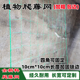 پWֲﻨܹϹzϿϵѹVWRd