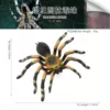 PL127-2632 Talantu Poison Spider