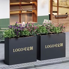 304���P䓻������ͥԺ����Nֲ�����⻨���̨�����M�ϻ���