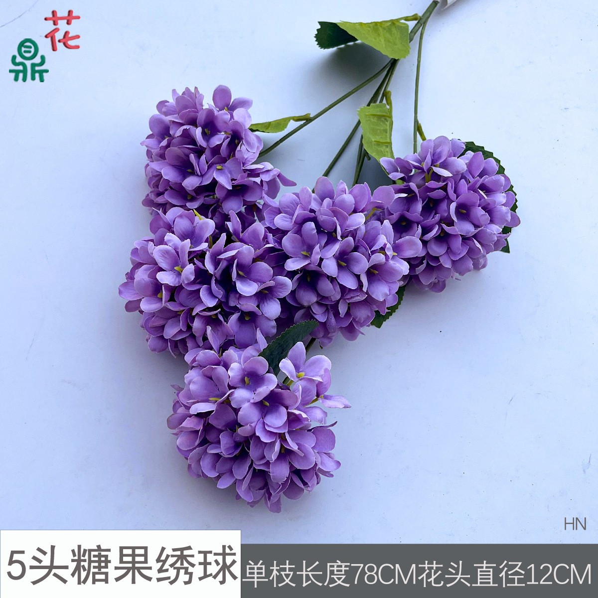 5 머리 사탕 수국 HN 가을 보라색 잎 없음