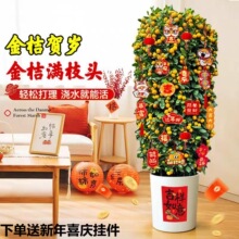 �ۘ�������ێ����͏d�Gֲ�҃ȴ���ֲ����լ���ʳ���^���������B