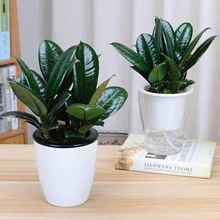 ��Ƥ��ڽ��������ļ�������B�辰���ܾGֲ��ͥ�k�����M���՚�