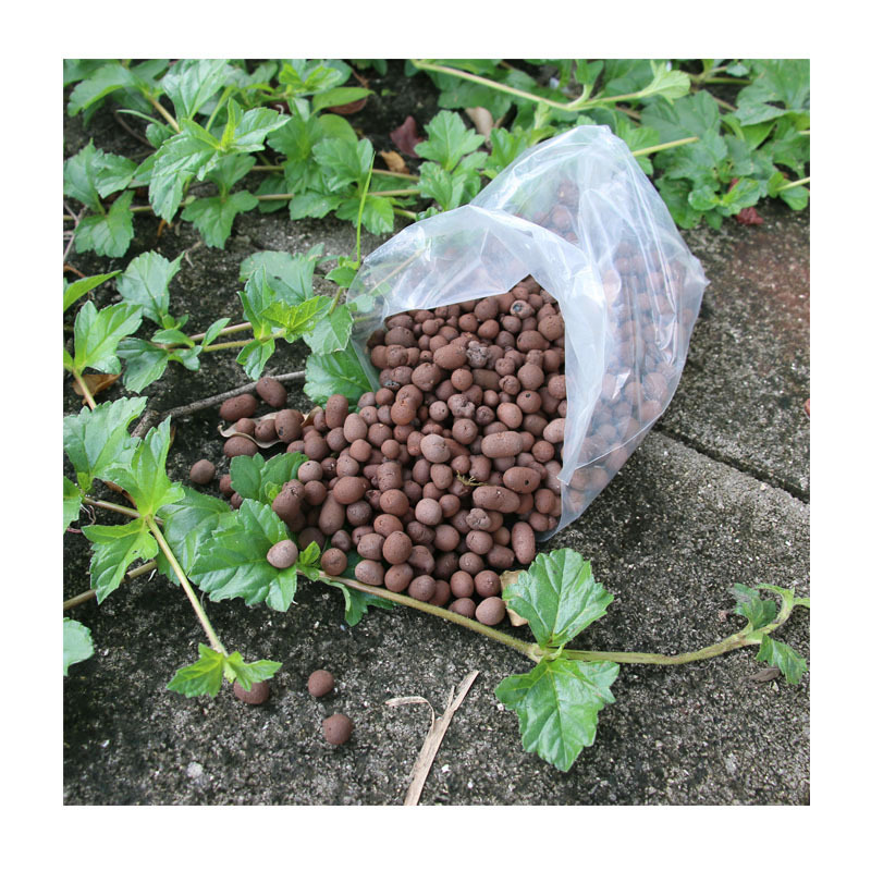 ѩ���׶���ʯ | ���ڼ�ˮϴ�׹���ʯ | �߶�԰���쾰/����ͥԺ