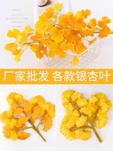 �y���~�٘�֦�b��Sɫ���~�����ϻ��ٻ�ֲ��Gֲ�҃ȹ����쾰