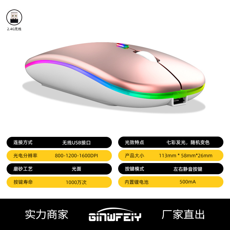 Oro rosa luminoso recargable 2,4G