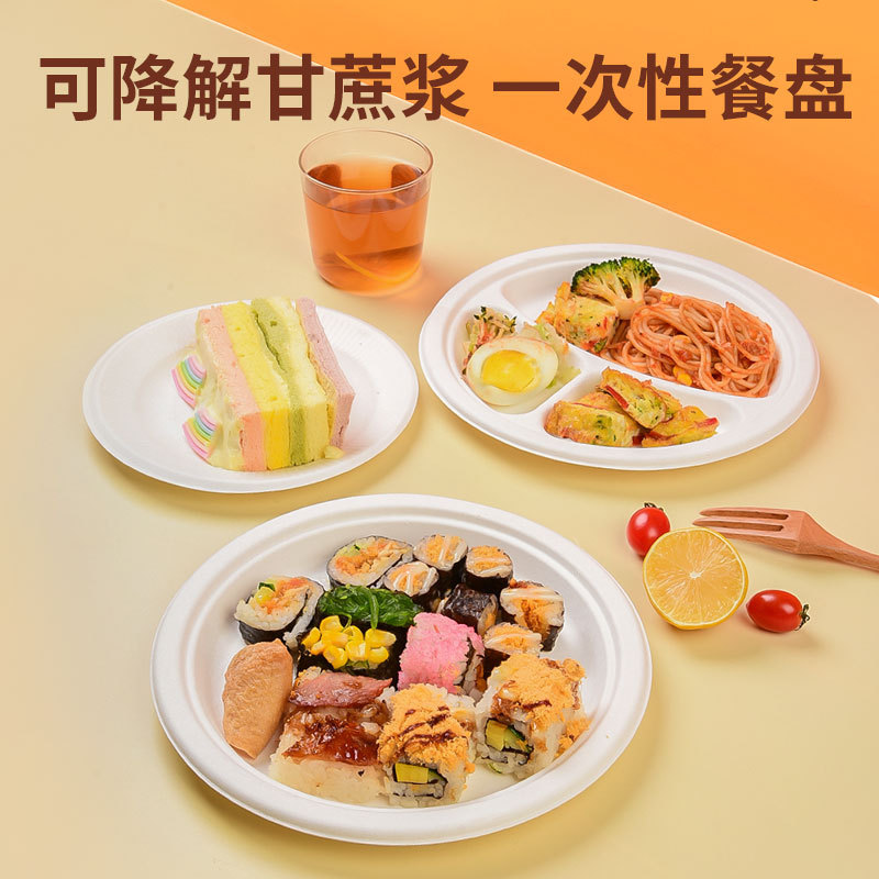 Special offer: Disposable paper plates with BPI, 6 7 8 9 10inch white sugarcane pulp dinner plates, round plates for painting