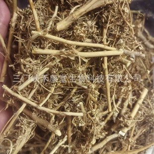 ��ș��ܿ���,����,Cymbopogon distans (Nees) Wats