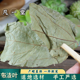 ����һ�á������x�� �����~ �Ʋ��~ �鲼�~ ������ ����ă�