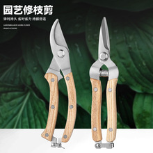 园艺修枝剪鲜花剪采摘果蔬细枝摘果剪多功能弯头剪园林木纹剪刀