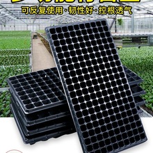 Ѩ�P����P���ϱ��Nֲ������ľ������I�B���߲����NǤ���r���бP