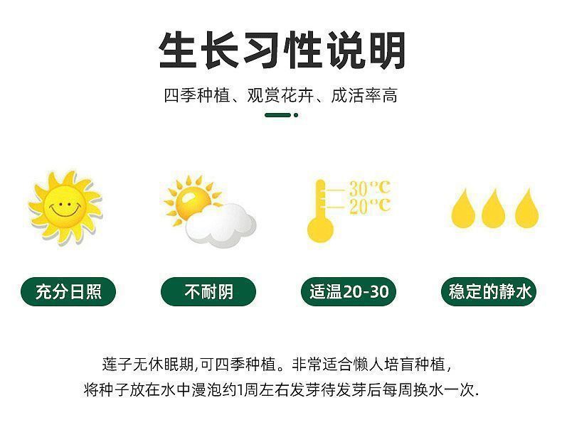 89c04de4-9d63-4c2e-95f3-2780b2140a49.jpe