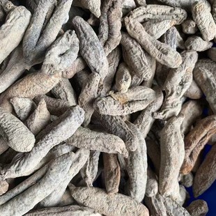 ����������Ӆ����r؛������ɺ����Ӆ���ʳ����