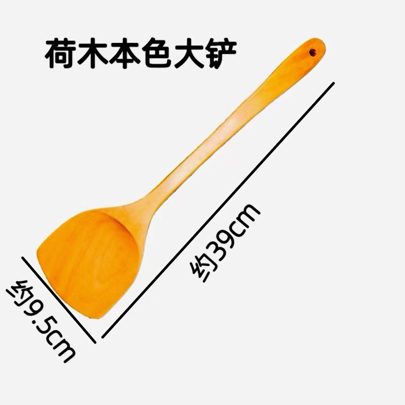 연꽃 자연 컬러 삽