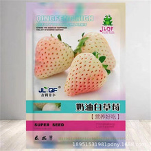 理想白草莓种子奶油草莓种籽四季盆栽水果蔬菜种子厂家批发种孑孓