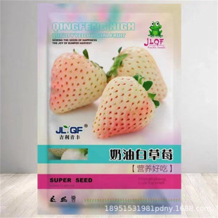 ����ײ�ݮ�N�����Ͳ�ݮ�N���ļ�����ˮ���߲˷N�ӏS�����l�N����