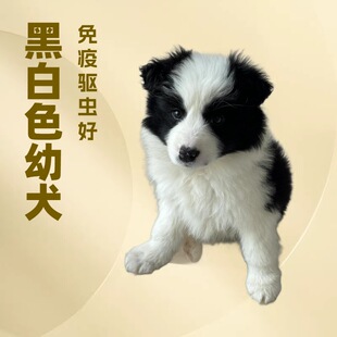 ���N߅����Ȯ�߰���ͨ߅������Ȯ���w�ڰ��Eʯ��߅����Ȯ���ﹷ��