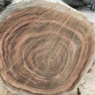 ��������ԭľ ���������� �󏽻���ľ����� �󏽄�������ľ��