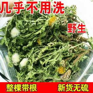 ����֕�ɶ���Ů���������r���в�������Ұ���ѹ�Ӣ