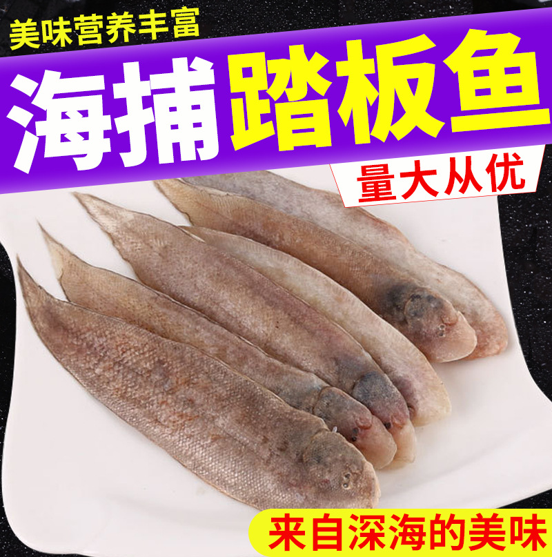龙利鱼整条踏板鱼无刺海鲜踏板鱼港口直发厂家批发|ru