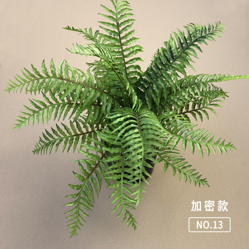 NO.13 Green Encryption