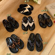 �n�汪�y����_�R��ЬŮ2026���ļ��¿��ך��|�Aֺ�ȼ��L������