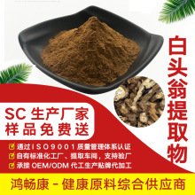 白头翁提取物10:1比例萃取原料白头翁粉全水溶白毛夏枯草石灰菜