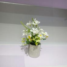 �S�����l����Gֲ��������С�r�����Ի��ҾӾG���b����[��