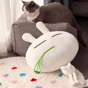 �ɐ���˹����ݿ��|ë�q�����ƤС���ӱ���������ż�������ͶY��