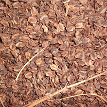 ���S�N�� �²� �R����S ţ����S �ϴ��S �\�y�N�� �в�ș�ķN��