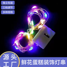 源头厂家鲜花蛋糕装饰led灯串AG13电池三挡调小白盒彩灯批发户外