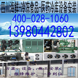 广元遂宁内江乐山医药冷冻食品海鲜冷冻冷藏冷库冻库设备机组安装