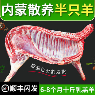 ���ɹ����r����10��F����ֻ����ϐ������ȫ����ֻ���ȟ���ʳ��
