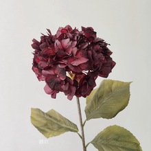 ���Ƽtɫ�߷��潑���Ϻڹŵ�ٻ��z���͏d����b�֧����