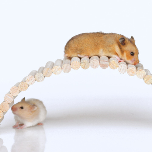 Hamster landscape long ladder fence swing soft walkway climbing suspended arch log golden hamster isolation toy versatile platform