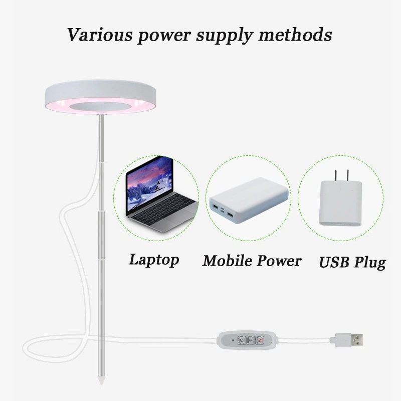 LED-растение светильник, подсветка внутри, Amazon