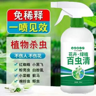 General-Purpose Spray for Home Flowers and Succulents to Kill Aphids Without Dilution Wholesale