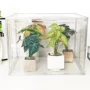 跨境植物热带育苗温室