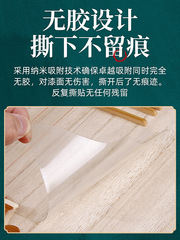 Protective film for Pipa panel, large, medium, and small Ruanqin face protector, adhesive-free transparent protective film, general-purpose for Liuqin instruments