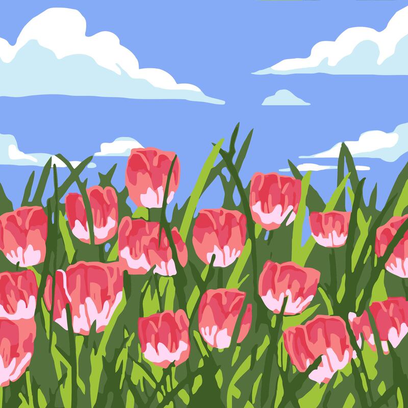 新款diy数字油画填色儿童手工绘可爱动漫油彩画填充装饰画批发|undefined