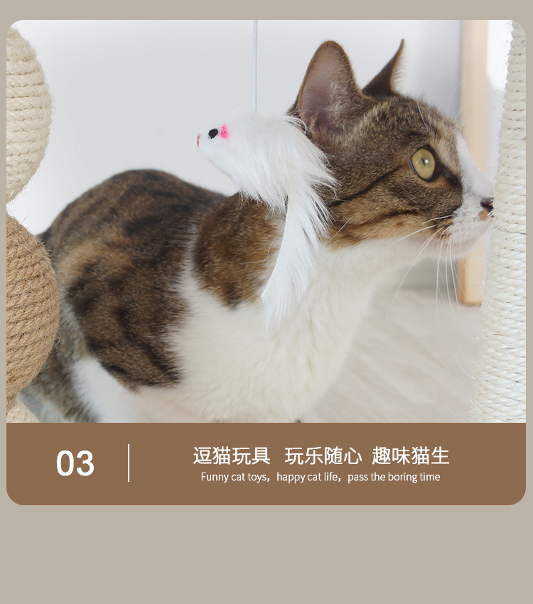 JV03亚_08.jpg