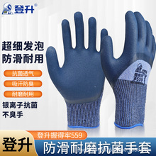 �����յ���559�ڱ����ל�]���z���o���m���z�ߏ�����͸����ĥ��