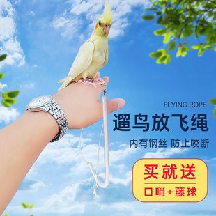 �W�^���w�KӖ���K�B�K�Ӡ����K���B�w���K�B�ó��p�_��_�h���]