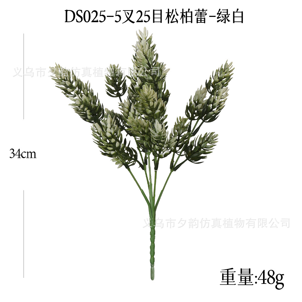DS025-녹색과 흰색 5갈래 큰 솔방울