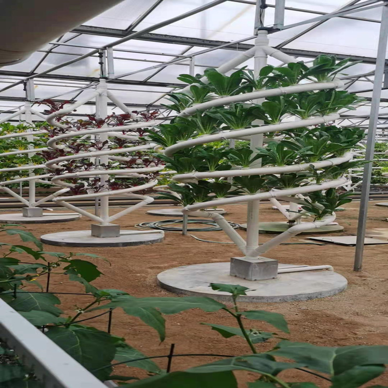 Instalaciones de cultivo sin suelo de invernadero nutrición hidropónica tridimensional plantación de ranura en espiral de doble tubo cultivo sin suelo en espiral grande