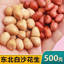 东北红皮花生米白沙2024年新花生仁大颗粒脱皮去壳新鲜粉皮生花生