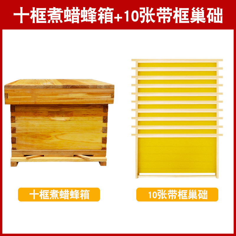 Y colmena de abejas, conjunto completo de abejas atraídas, diez marcos, siete marcos, colmena de abejas estándar, tablero de madera, barril de abejas, apicultura especial L
