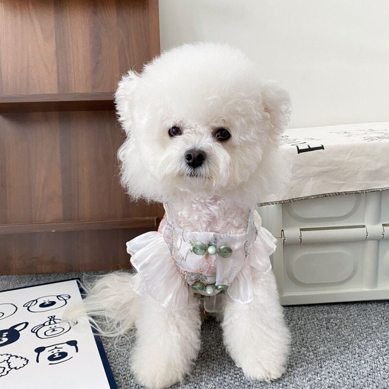 犬と猫の春夏の新しい中国風のチャイナドレスノースリーブボタン通気性のある中国風のスカートビションシーズテディ服薄い|undefined