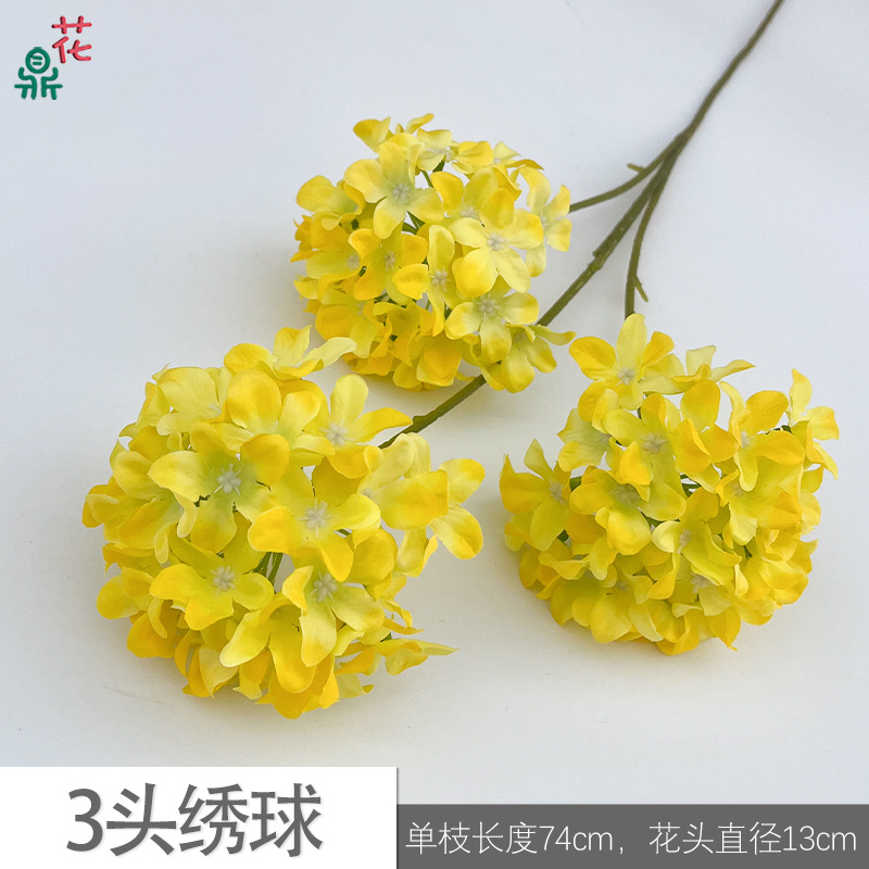 Hoa cẩm tú cầu 3 đầu Y màu vàng