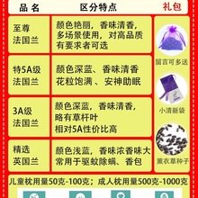 薰衣草干花粒助眠填充物散装香包枕头香薰天然熏衣草精油新疆伊犁